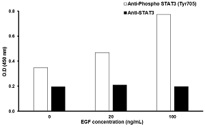 STAT3 (Tyr705) In-Cell ELISA Kit(AB126427)