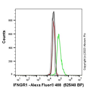 Anti-IFNGR1 antibody [EPR7866](AB134070)