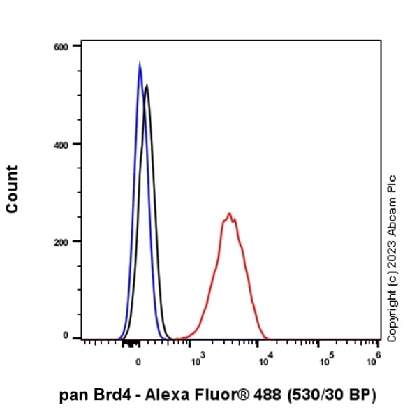 Anti-pan Brd4 antibody [EPR25424-71](AB314432)