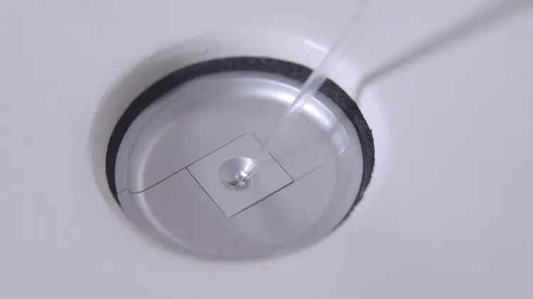 SpectraMax® QuickDrop Micro-Volume Spectrophotometer