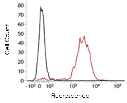 Anti-Ly6c antibody [ER-MP20](AB54223)