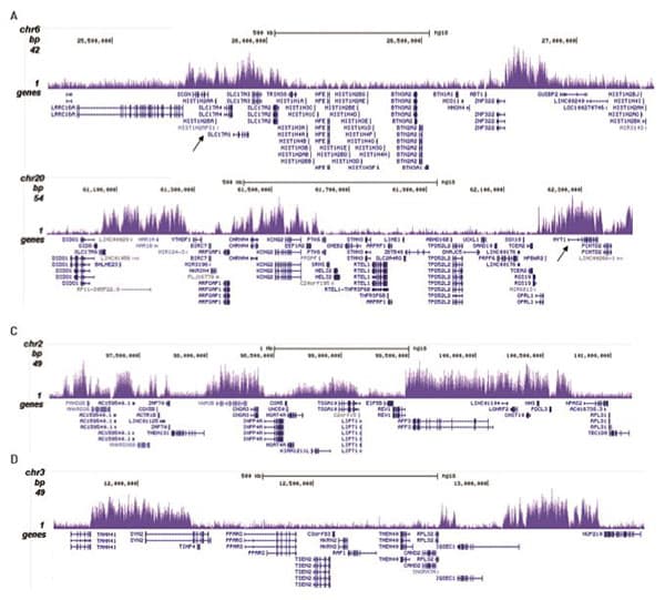 Anti-Histone H3 (tri methyl K27) antibody - ChIP Grade(AB195477)