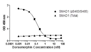 SMAD1 (pS463/465) ELISA Kit(AB186036)