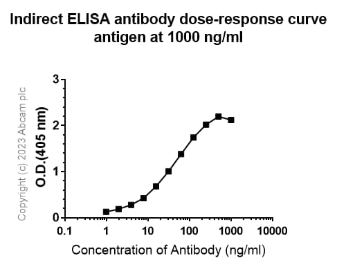 Anti-Mycobacterium tuberculosis Ag85B antibody [EPR28401-54] - BSA and Azide free(AB312329)