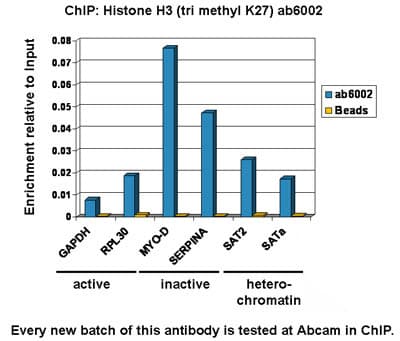 Anti-Histone H3 (tri methyl K27) antibody [mAbcam 6002] - ChIP Grade(AB6002)
