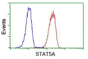 Anti-STAT5 antibody [9F7](AB230670)