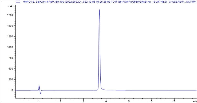 Recombinant Human Granzyme B Protein (His tag)(AB307481)