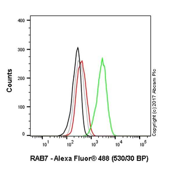 Anti-RAB7 antibody [EPR7589](AB137029)