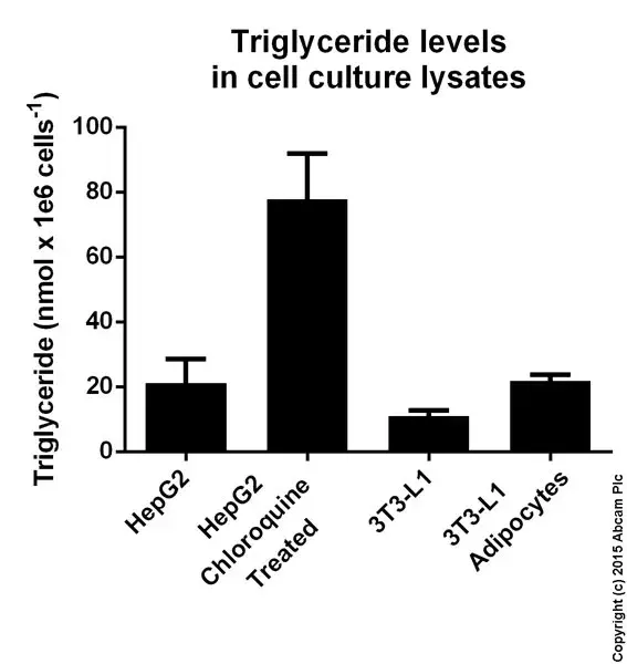 Triglyceride Assay Kit - Quantification(AB65336)