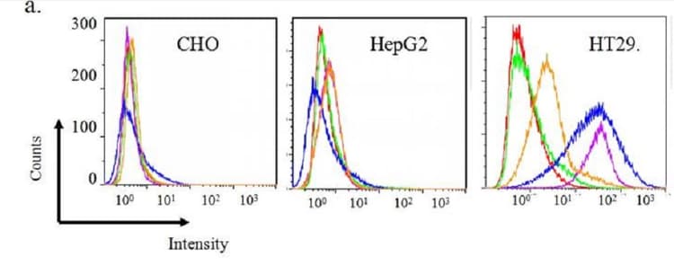 FITC Anti-6X His tag® antibody(AB1206)