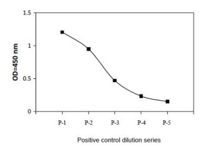 Phospho-ATF2 (T69/71) and Total ATF2 ELISA Kit(AB279738)