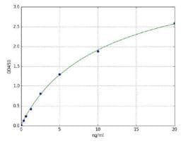 Human FOXP3 ELISA Kit(AB285290)