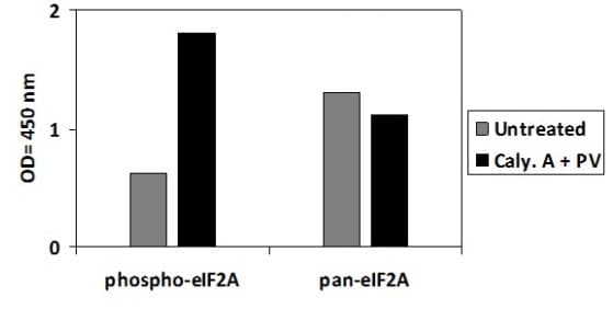 Phospho-EIF2S1 (S52) ELISA Kit(AB279774)