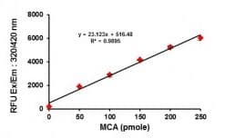 Angiotensin II Converting Enzyme (ACE2) Activity Assay Kit (Fluorometric)(AB273297)