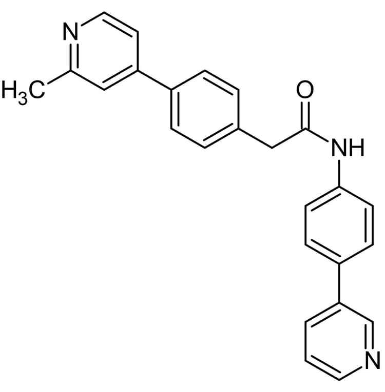 C59 Wnt Antagonist Wnt Signaling Pathway Inhibitor Ab142216  Chemical Structure Img168988