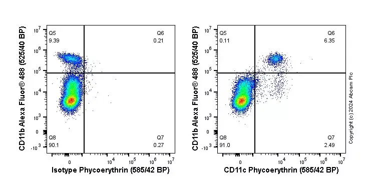 PE Rabbit IgG, monoclonal [EPR25A] - Isotype Control(AB209478)