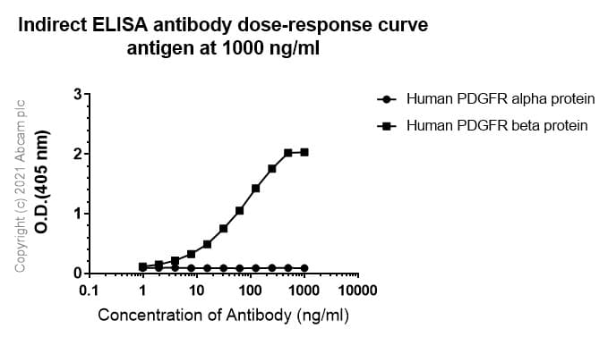 Anti-PDGFR beta antibody [42G12](ab69506)