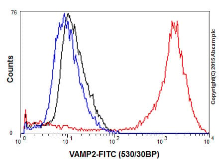 Vamp2 Antibody Epr12790 Bsa And Azide Free Ab214590  Flow Cytometry Intracellular Img114869