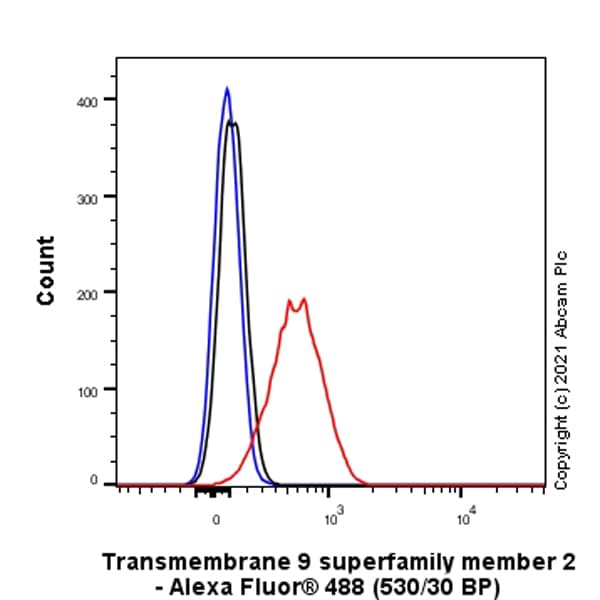 Anti-TM9SF2 antibody [EPR24416-17] - BSA and Azide free(AB281838)