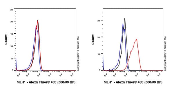 Anti-MLH1 antibody [EPR20741](AB229191)