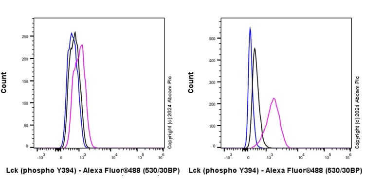 Anti-Lck (phospho Y394) antibody [EPR27974-93](AB318960)