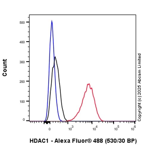Anti-HDAC1 antibody [EPR23847-170](AB280198)