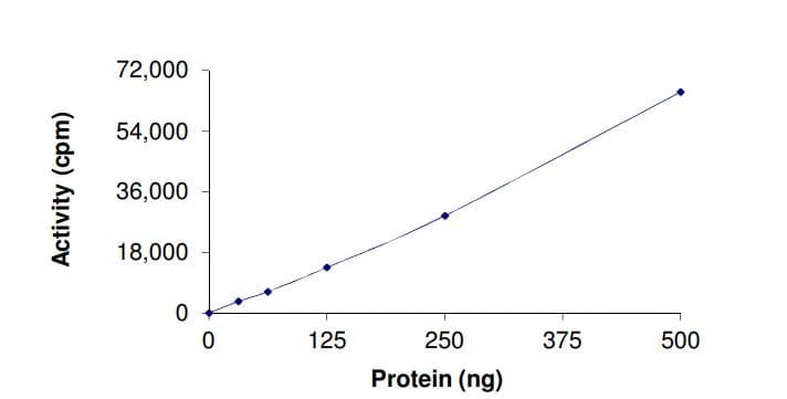 Recombinant human DRAK2 protein (Active)(ab268450)