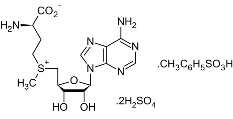 SAM e (S-(5-Adenosyl)-L-methionine disulfate tosylate), Methyl donor(AB142221)