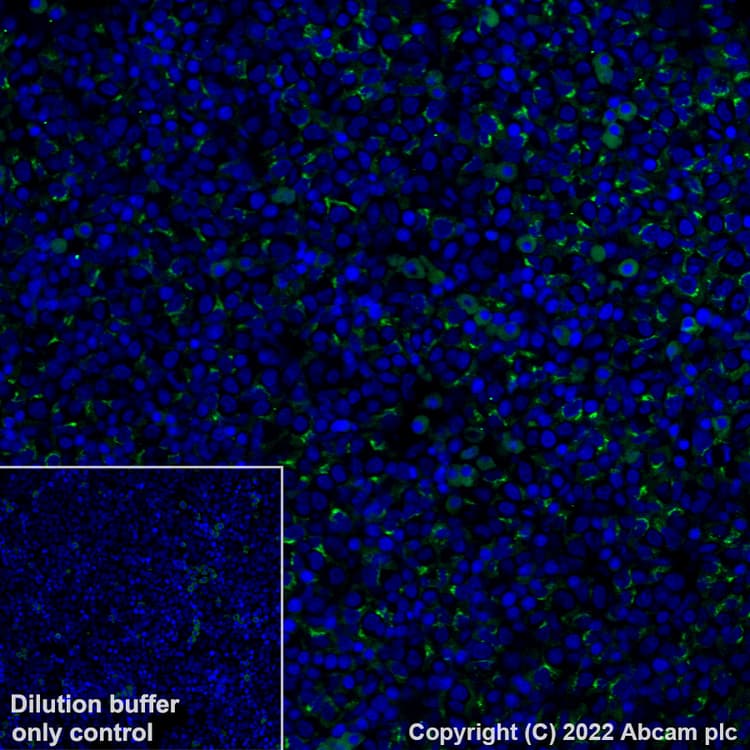 Antigen Retrieval Buffer (100X Tris-EDTA Buffer, pH 9.0)(AB93684)