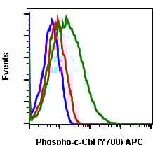 APC Anti-CBL (phospho Y700) antibody [CblY700-E1](AB278763)