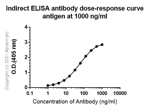 Anti-iNOS antibody [RM1017](AB283655)