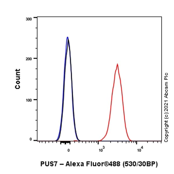 Anti-PUS7 antibody [EPR25172-31] - BSA and Azide free(AB289865)