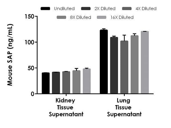 Mouse SAP ELISA Kit(AB235639)