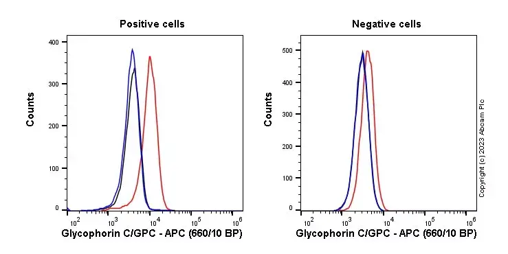APC Rabbit IgG, monoclonal [EPR25A] - Isotype Control(AB232814)