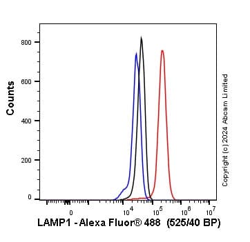 Anti-LAMP1 antibody [EPR21026](AB208943)