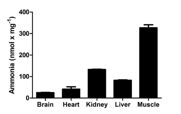 Ammonia Assay Kit(ab83360)
