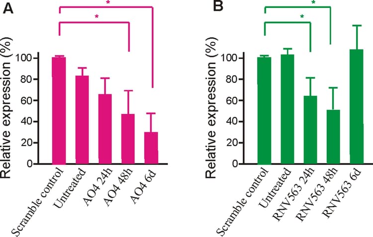 Anti-Tau antibody [EP2456Y](AB76128)