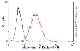 Anti-Mitochondria antibody [113-1] - BSA and Azide free(AB92824)
