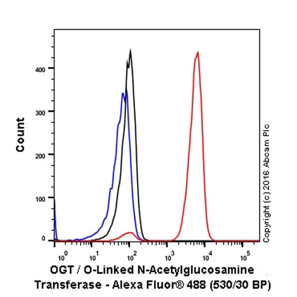 Anti-OGT / O-Linked N-Acetylglucosamine Transferase antibody [EPR12713] - BSA and Azide free(AB236014)