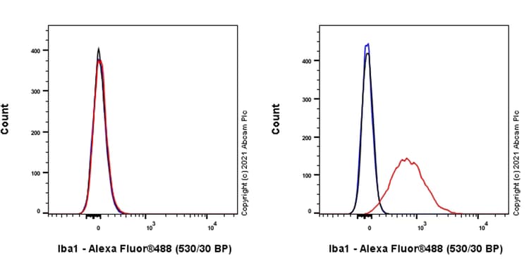 Anti-Iba1 antibody [EPR16589] - Mouse IgG1 (Chimeric)(AB283319)