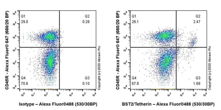 Bst2 Tetherin Antibody Epr23597 202 Bsa And Azide Free Ab272175  Flow Cytometry Img118818