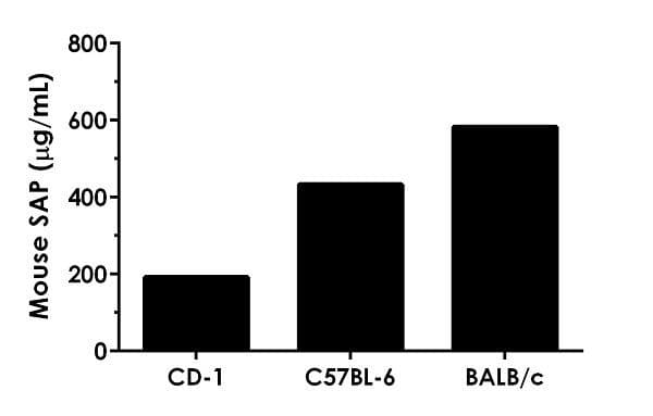 Mouse SAP ELISA Kit(AB235639)