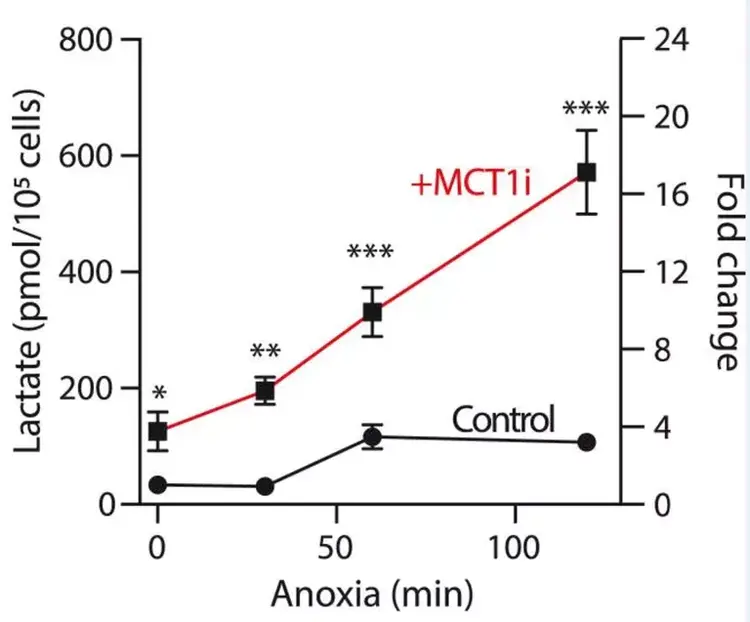Total Antioxidant Capacity Assay Kit(ab65329)