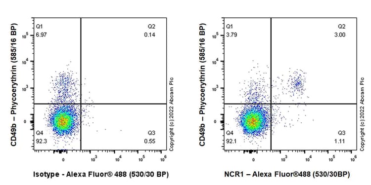 Anti-NCR1 antibody [EPR26322-23](AB300044)