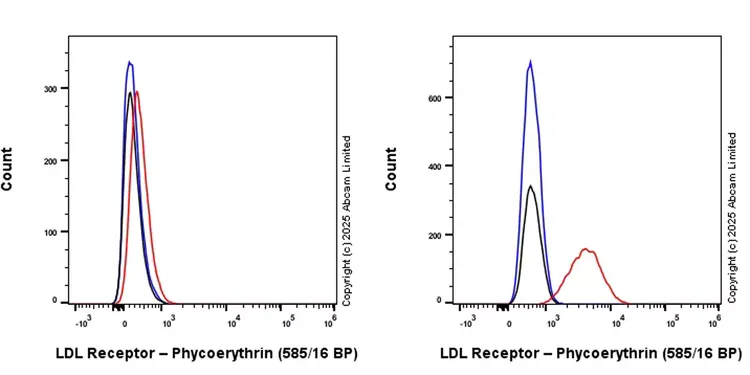 PE Rabbit IgG, monoclonal [EPR25A] - Isotype Control(AB209478)