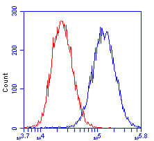 Anti-MTCO2 antibody [12C4F12](AB110258)
