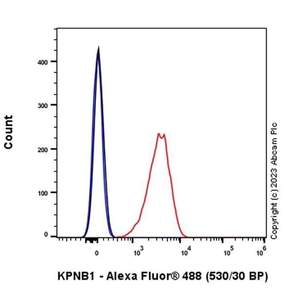 Anti-KPNB1 antibody [EPR26137-52](AB313370)