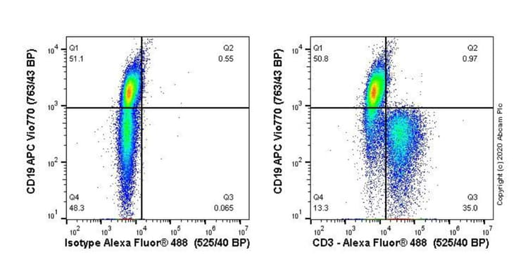 Anti-CD3 antibody [CD3-12](AB11089)