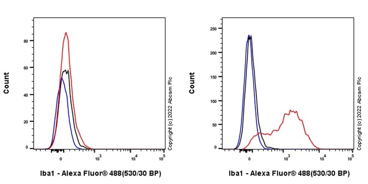 Anti-Iba1 antibody [EPR16588] - Goat IgG (Chimeric) - BSA and Azide free(AB289876)