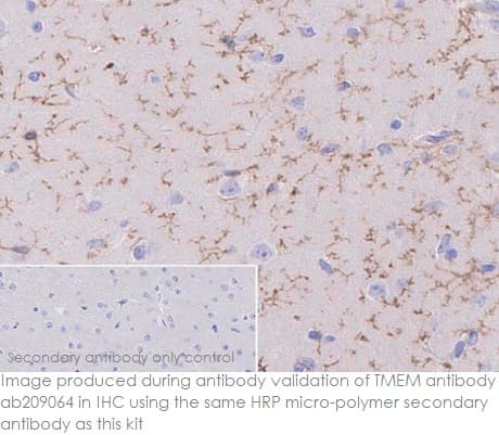 Mouse and Rabbit Specific HRP/DAB IHC Detection Kit - Micro-polymer(AB236466)